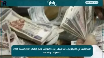للعاملين في الحكومة.. تفاصيل زيادة الرواتب وفق القرار 2594 لسنة 2025 بخطوات واضحة